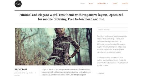 Responsive WordPress Theme