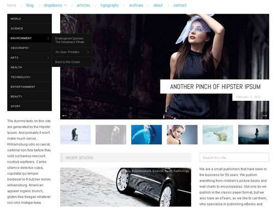 Responsive WordPress Theme