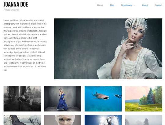 Responsive WordPress Theme