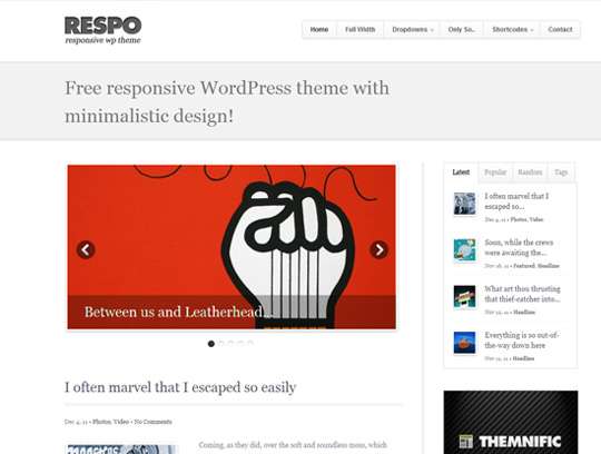 Responsive WordPress Theme