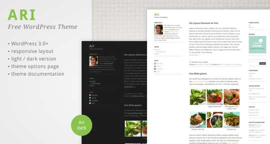 Responsive WordPress Theme