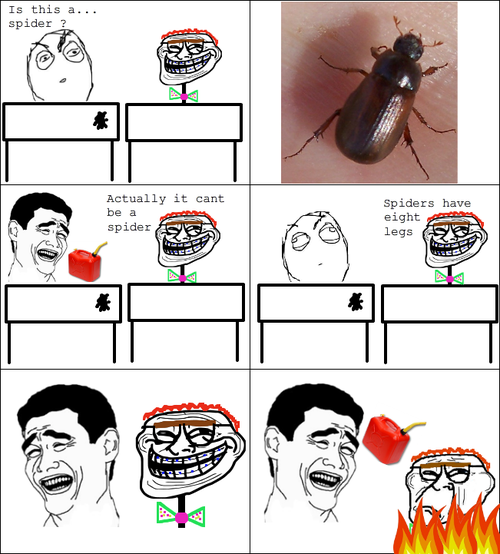 Troll Face Melvin - Spiders