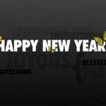 New Year HD 3D Wallpapers 2013 (21)