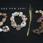 New Year HD 3D Wallpapers 2013 (18)