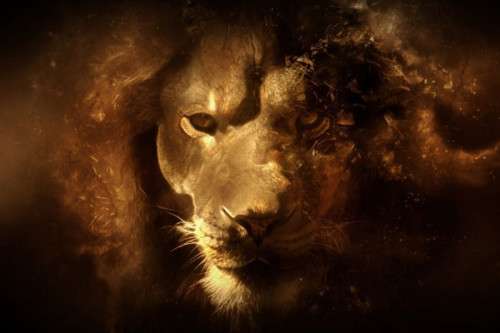 Mac OS X Lion Wallpapers HD Freakify 2013 (11)