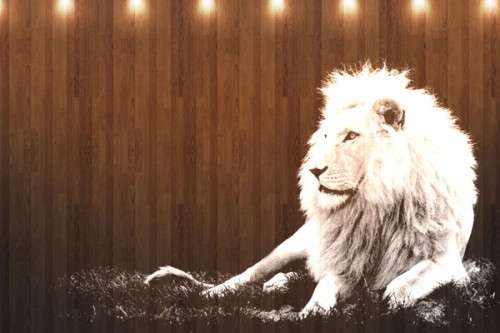 Mac OS X Lion Wallpapers HD Freakify 2013 (4)