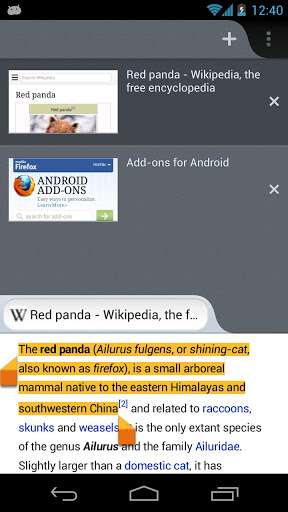 Download Firefox 18.0 APK for Android (4)