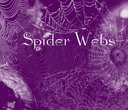 spider webs