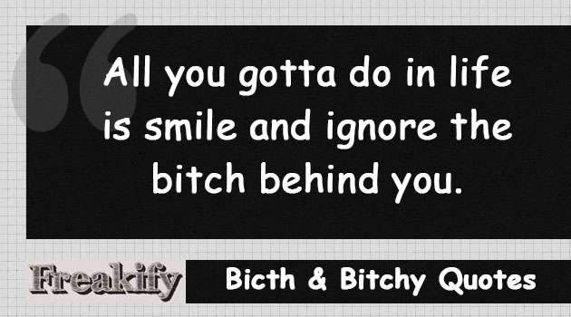 All you gotta do in life is smile and ignore the bitch behind you.