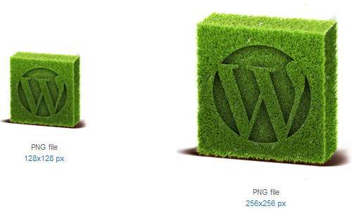 WordPress Icon