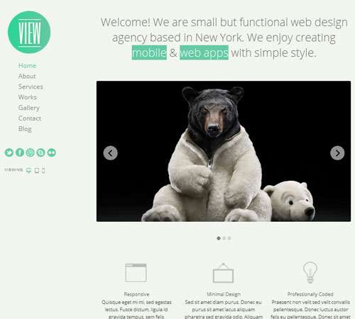 View - 2 in 1 WordPress Responsive Themes