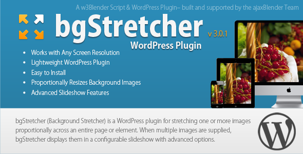 bgStretcher WordPress Bg Image Resizer & Slideshow - CodeCanyon Item for Sale