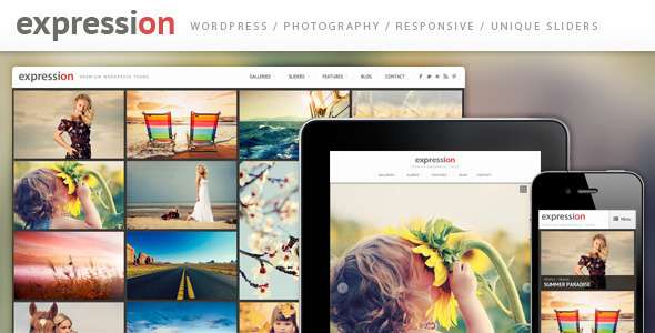 Expression Photography Responsive WordPress Theme - ThemeForest Item for Sale