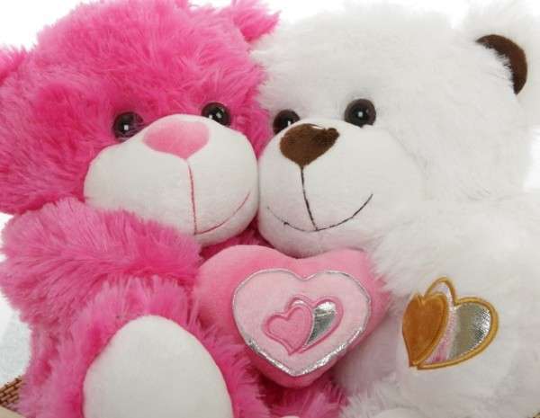 Valentine's Day Teddy Bear