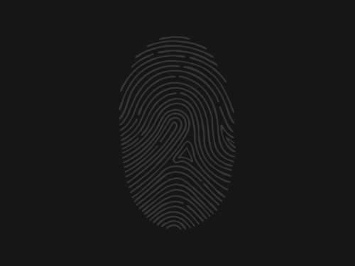 FingerPrint-Pixels