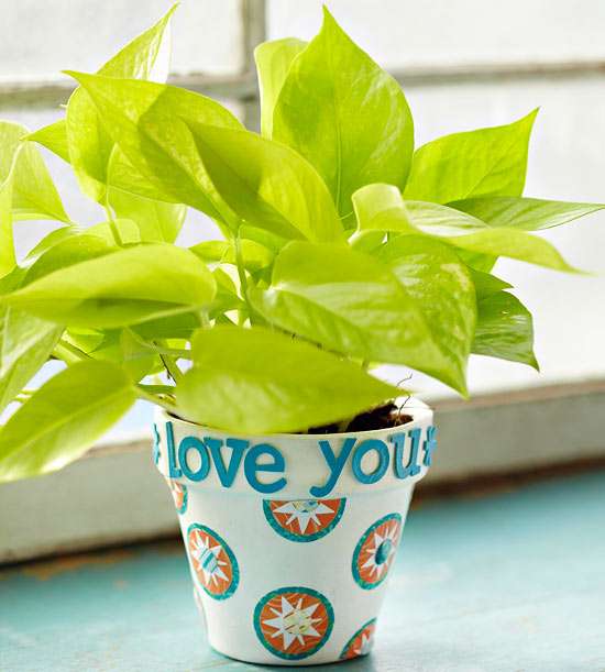 Decorative Potted Plant